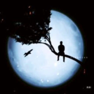 Meet your Posher, Ronaldo